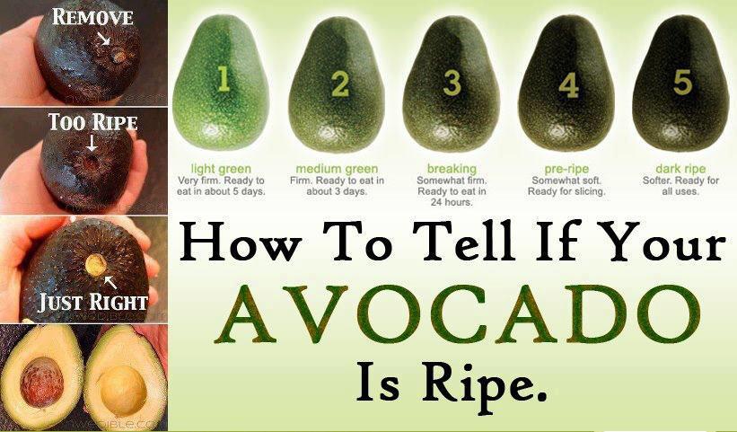 How-to-choose-an-avocado.jpg