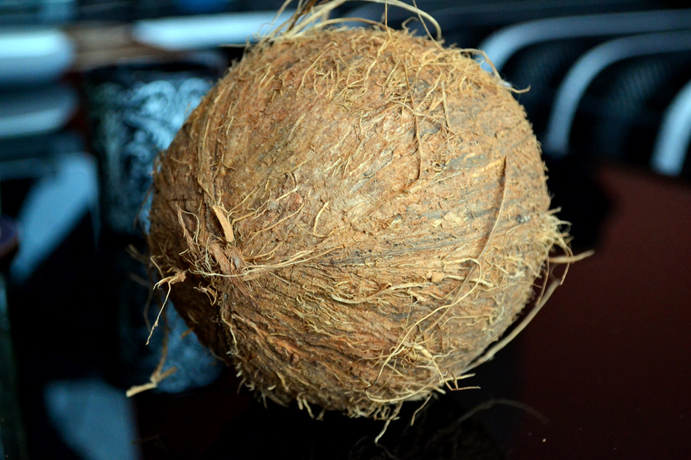 Health Benefits Of Coconut Cvetybaby