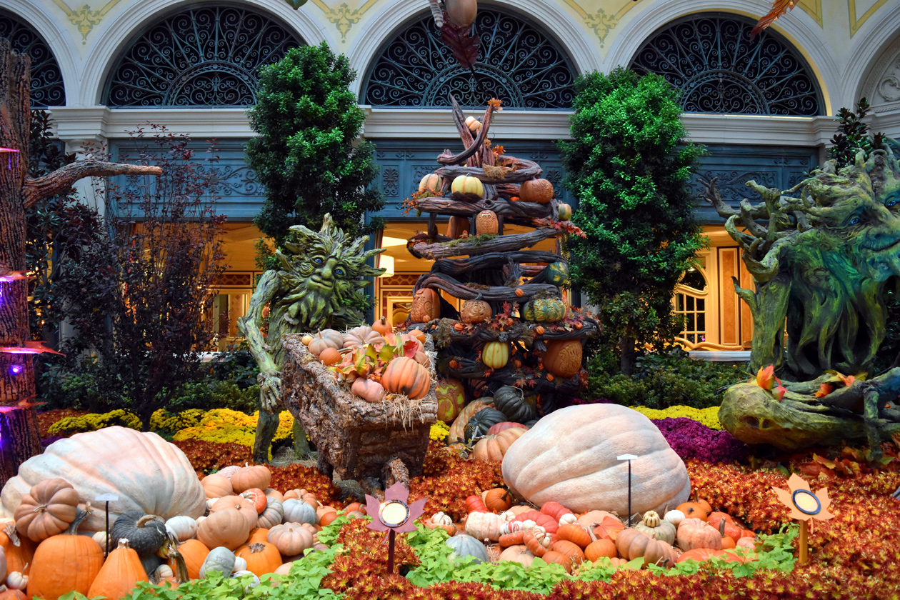 Bellagio-Conservatory-and-Botanical-Gardens-fall-2015