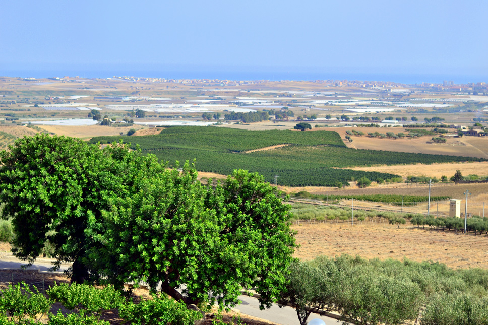 Quignones-winery-view